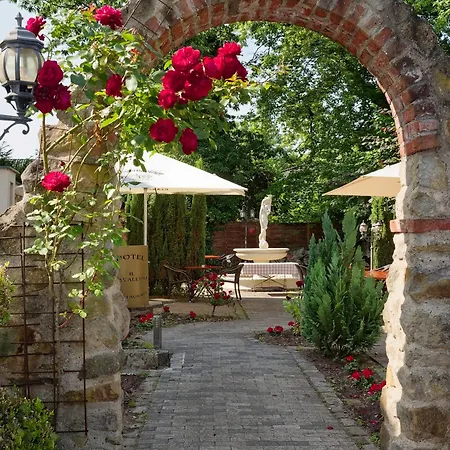 Il Cavallino 3* Warendorf