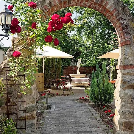 Il Cavallino 3*